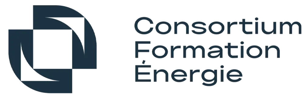 Consortium FE 01